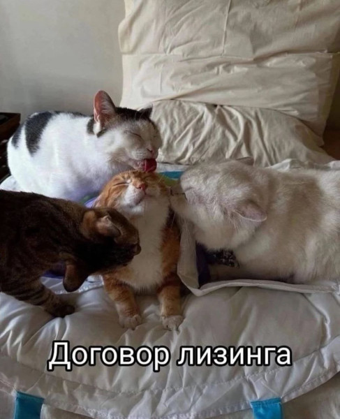 Мем, Леонид Хлыновский