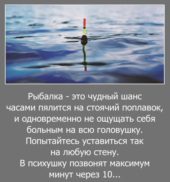 Мем, Волгоградский рыболов