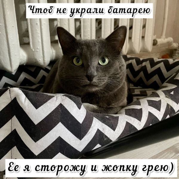 Мем, Леонид Хлыновский