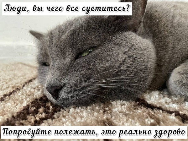 Мем, Леонид Хлыновский