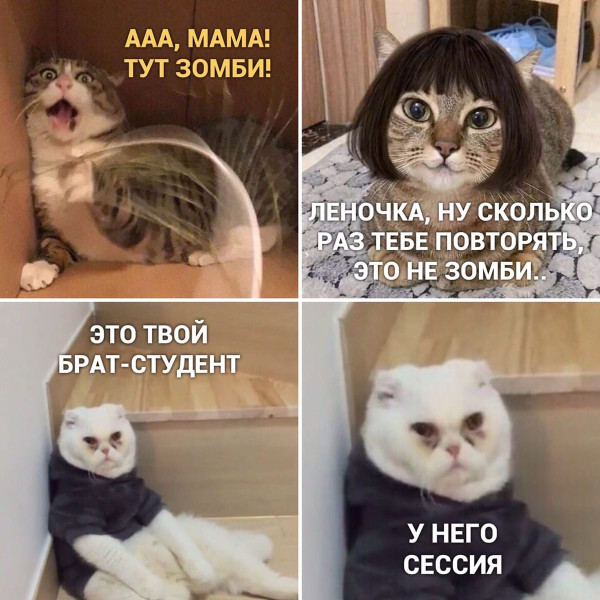 Мем, Леонид Хлыновский