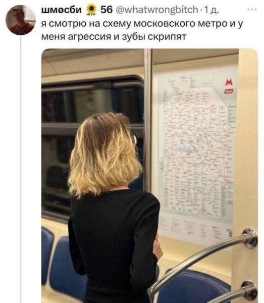 Мем, Максим Камерер