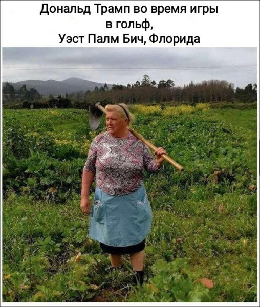Мем, Рысь