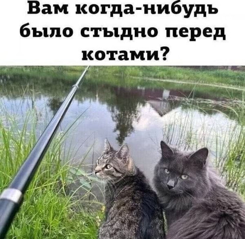 Мем, Mghost