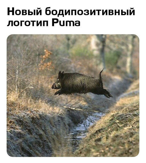 Мем, Mghost