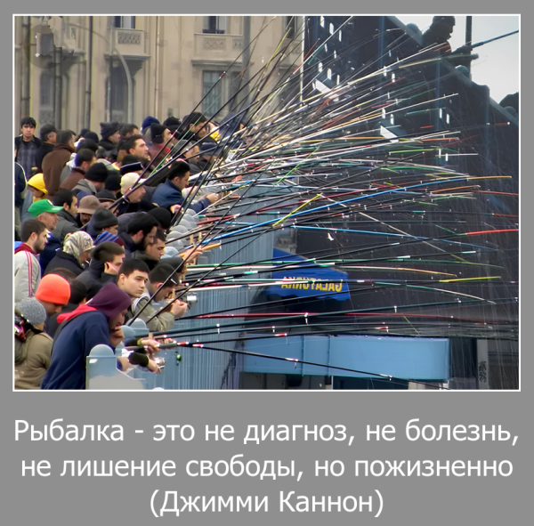 Мем, Волгоградский рыболов