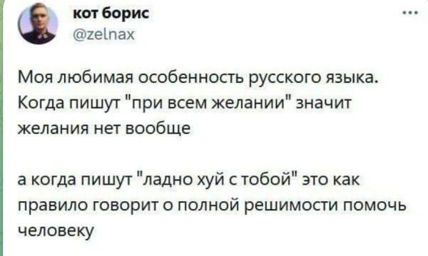 Мем, Максим Камерер
