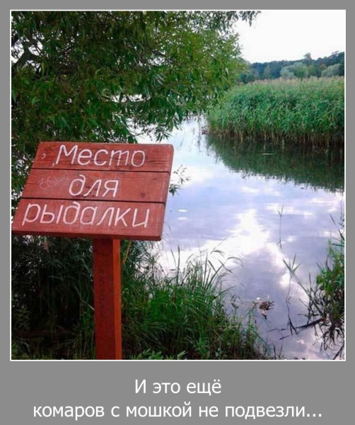 Мем, Волгоградский рыболов
