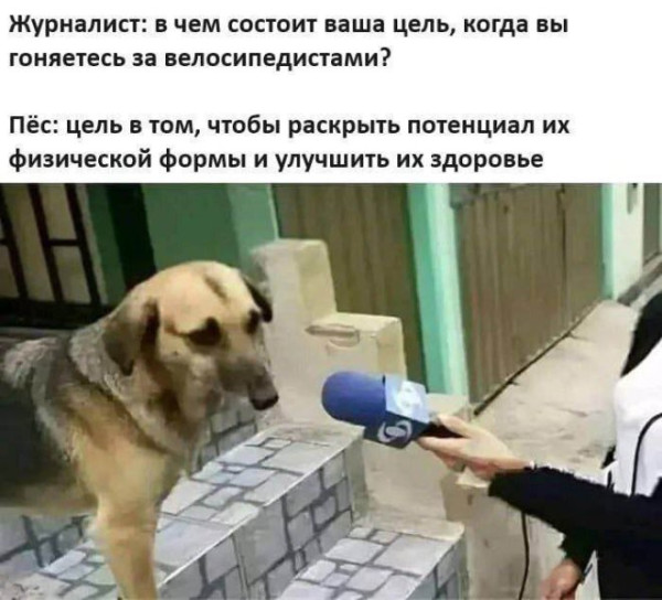Мем, Смехалка
