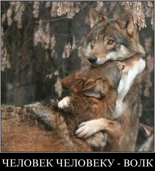 Мем, Бывает