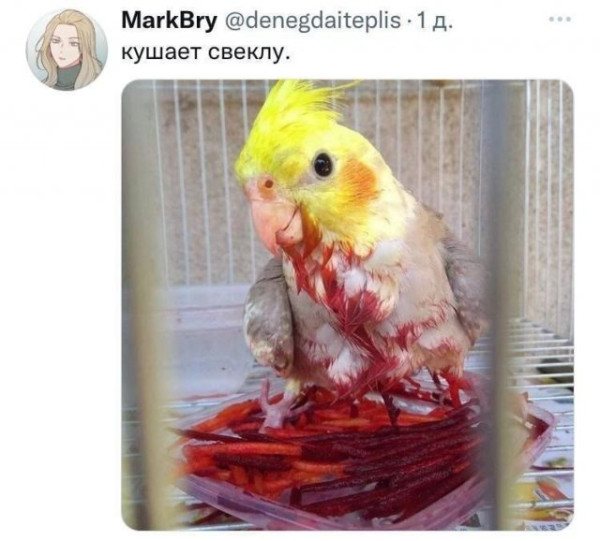 Мем, Леонид Хлыновский