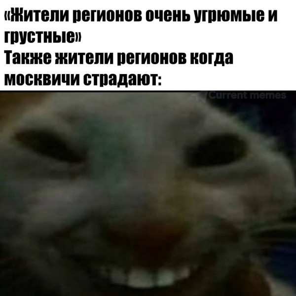 Мем: Локальный юмор, iteam