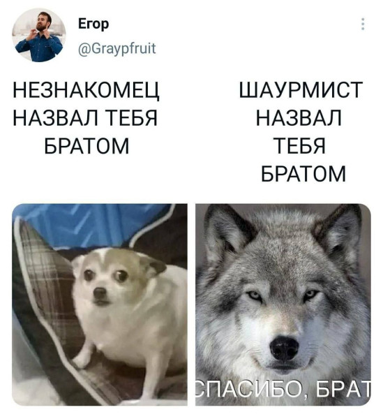 Мем: Юмор, iteam