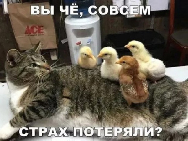 Мем, Смехалка