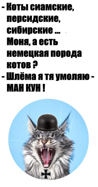 Мем