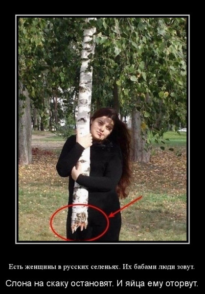Мем, Бывает