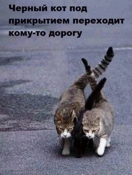Мем, Леонид Хлыновский