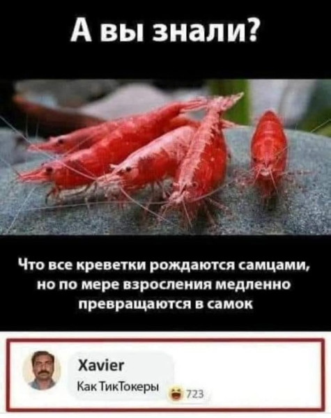 Мем, Смехалка