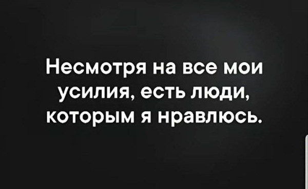 Мем, Максим Камерер