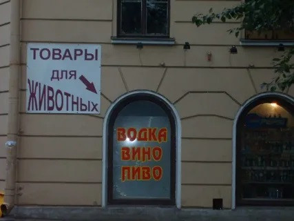 Мем, Лис Интересный