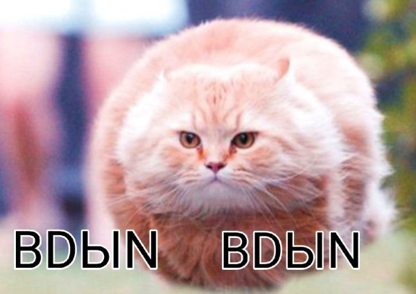 Мем: BDЫN BDЫN, БДЫН МЭН