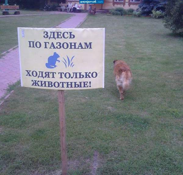 Мем: Чётко следую инструкции, Леонид Хлыновский
