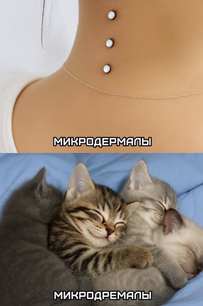 Мем, Леонид Хлыновский