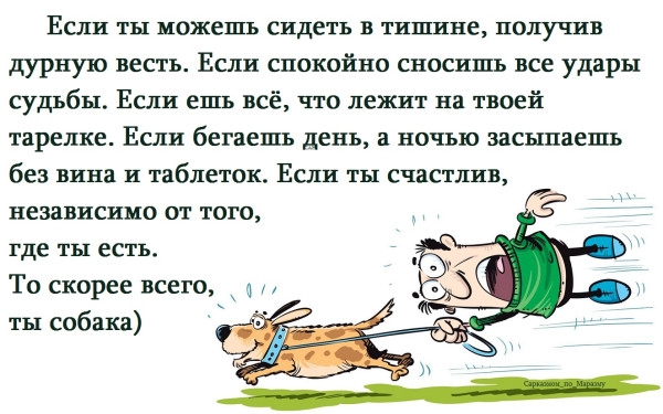 Мем, Александр САН