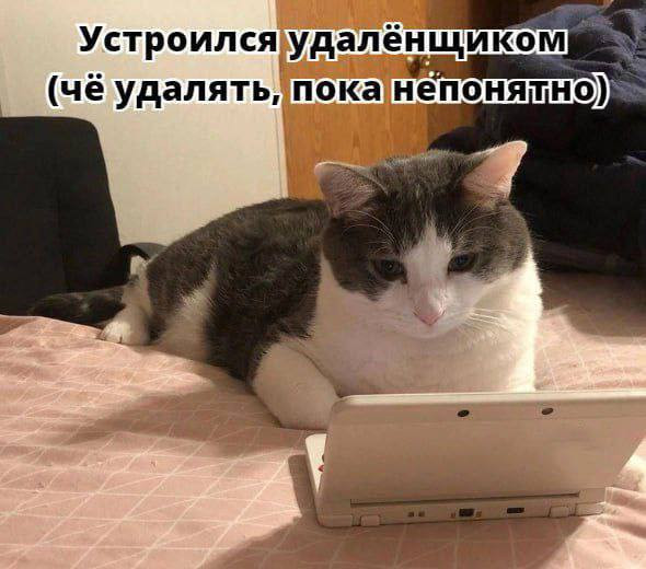 Мем, Смехалка