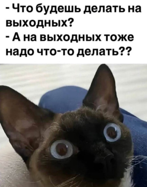 Мем, Бывает