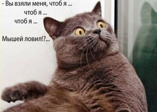 Мем, Смехалка