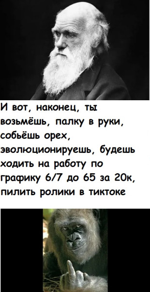 Мем, Лис Интересный