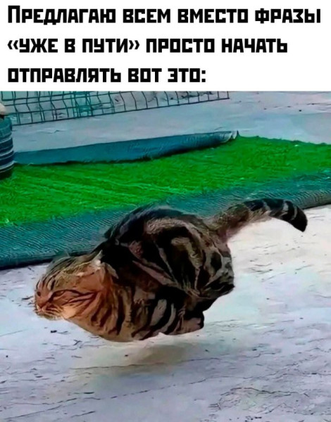 Мем: Приколы, iteam
