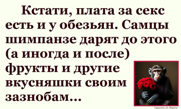 Мем, Александр САН