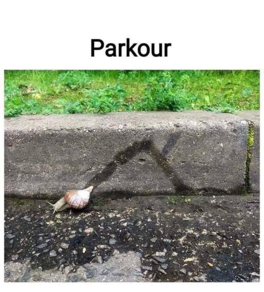 Мем, Смехалка