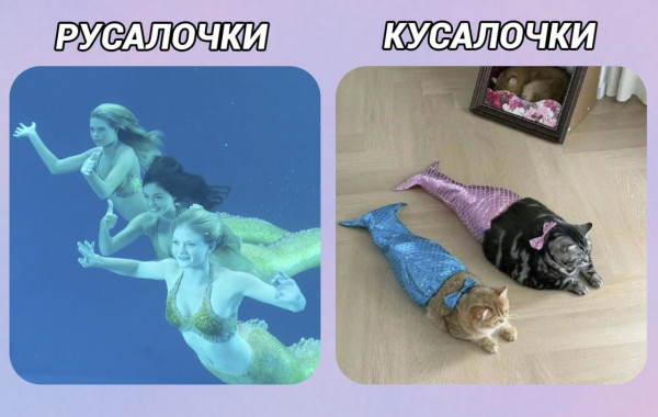 Мем, Леонид Хлыновский
