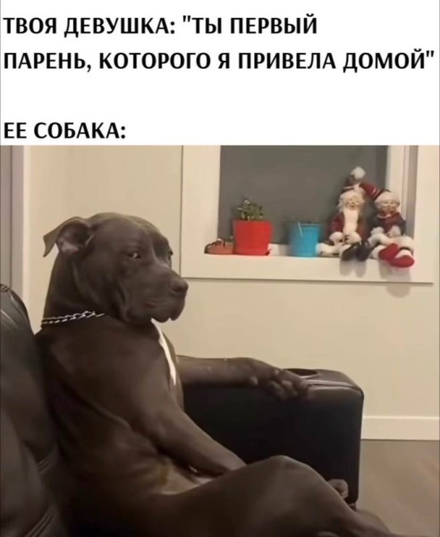 Мем, Смехалка