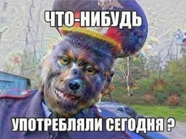 Мем, Максим Камерер
