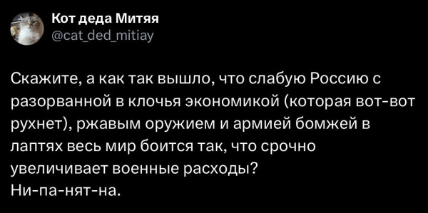 Мем, Максим Камерер