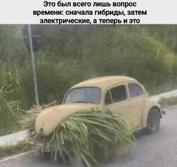 Мем, Treloni_Esq