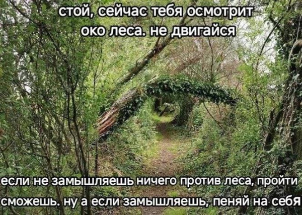 Мем, Смехалка