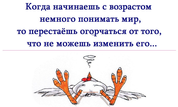 Мем, Александр САН