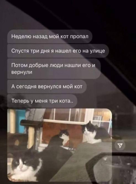 Мем, Mghost
