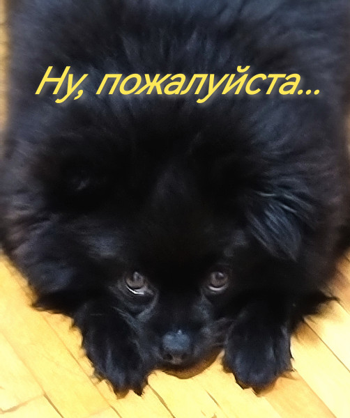 Мем: Ну, пожалуйста, Андрей фил