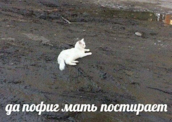 Мем, Леонид Хлыновский