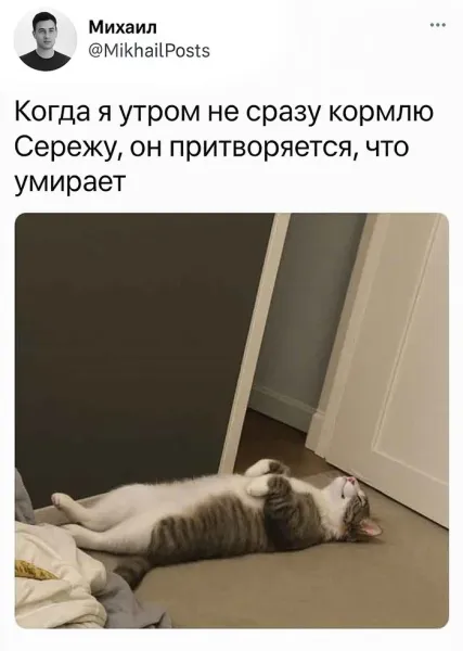 Мем, Смехалка