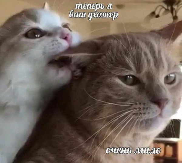 Мем, Микки Маус