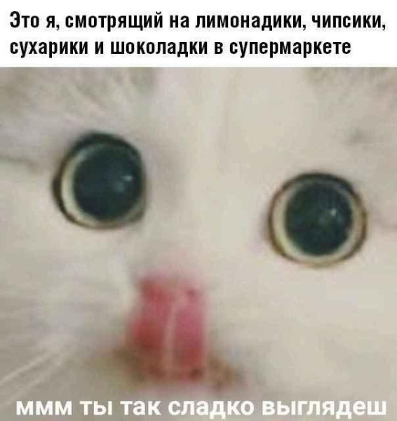 Мем, Микки Маус