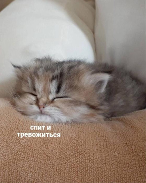 Мем, Микки Маус