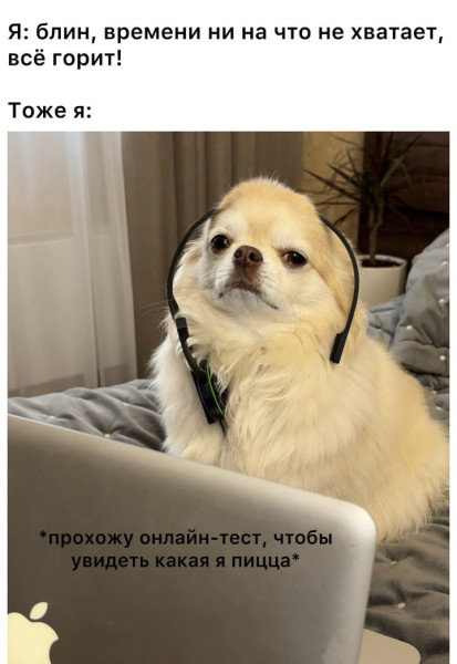 Мем, Микки Маус